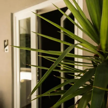 Venis 4* טיראנה