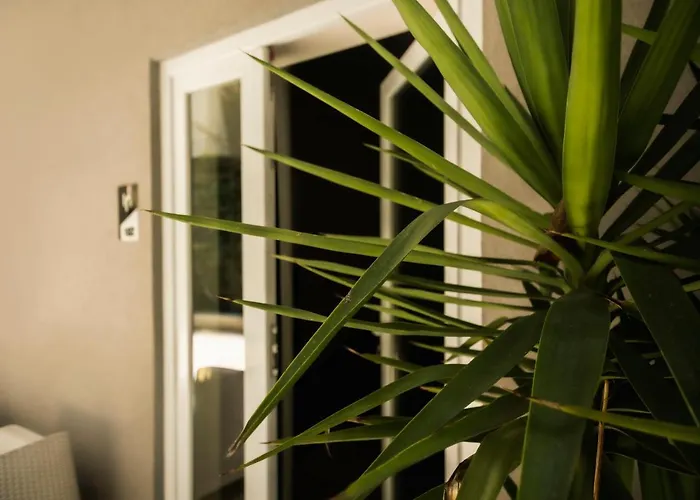 Venis 4* تيرانا